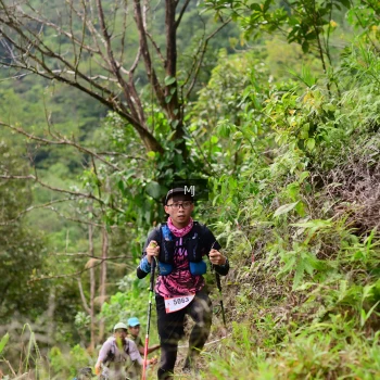 Runner Photo 102074