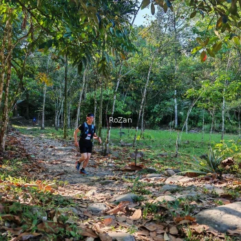 Runner Photo 10211