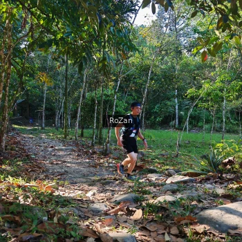 Runner Photo 10212