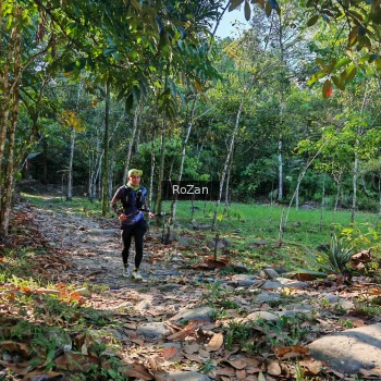 Runner Photo 10215