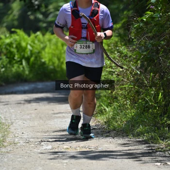 Runner Photo 102159