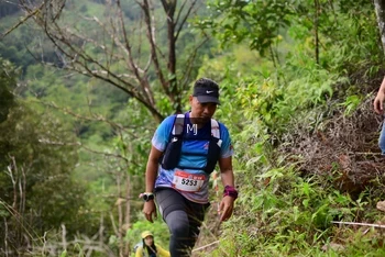 Runner Photo 102183