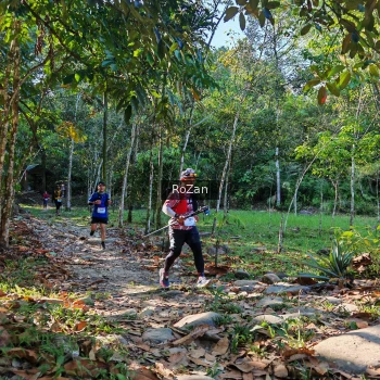 Runner Photo 10219