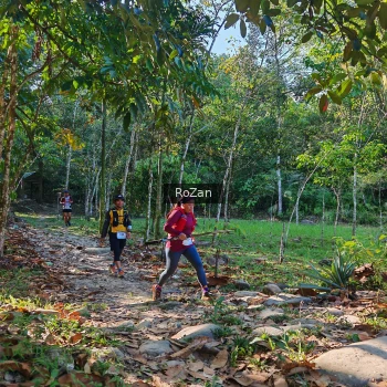 Runner Photo 10222