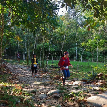 Runner Photo 10223