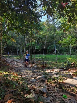 Runner Photo 10228