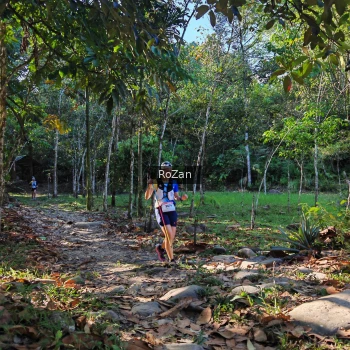 Runner Photo 10229