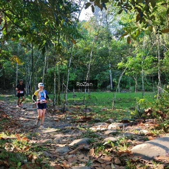 Runner Photo 10230