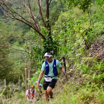Runner Photo 102343