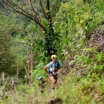 Runner Photo 102362