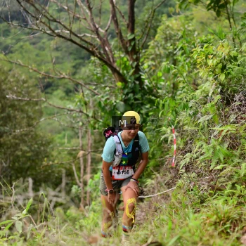 Runner Photo 102370