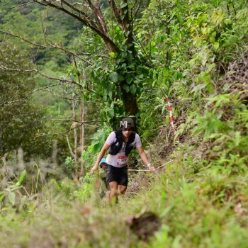 Runner Photo 102375
