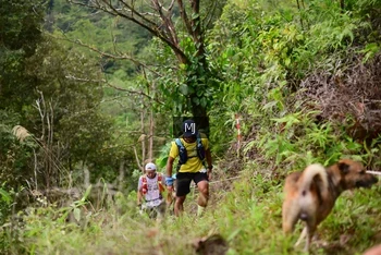 Runner Photo 102385