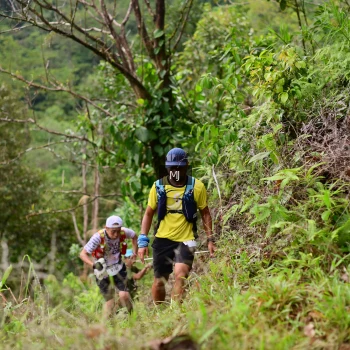 Runner Photo 102389
