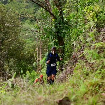 Runner Photo 102444