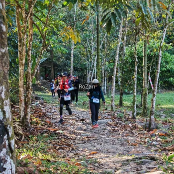 Runner Photo 10245