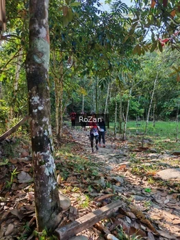 Runner Photo 10246