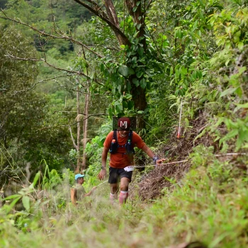 Runner Photo 102464