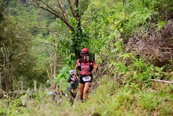 Runner Photo 102474