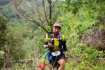 Runner Photo 102524