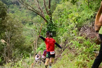 Runner Photo 102536