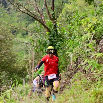 Runner Photo 102538
