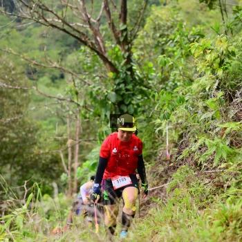 Runner Photo 102542