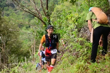 Runner Photo 102581