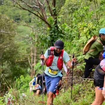 Runner Photo 102629