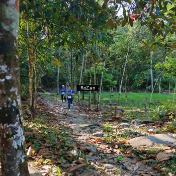 Runner Photo 10263