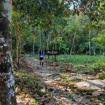 Runner Photo 10267