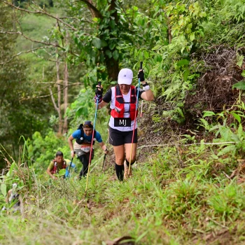 Runner Photo 102683