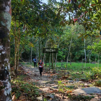 Runner Photo 10273