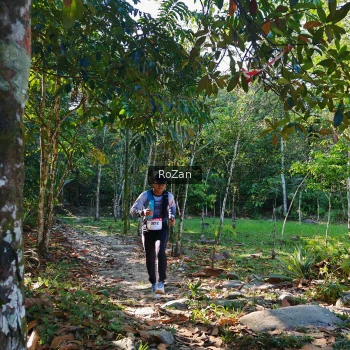 Runner Photo 10277