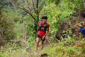 Runner Photo 102899