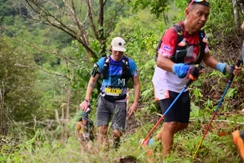 Runner Photo 102981