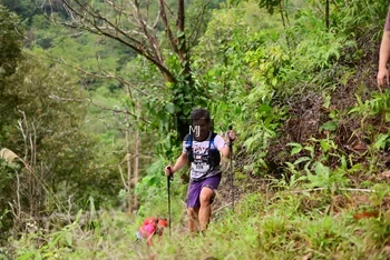 Runner Photo 103032