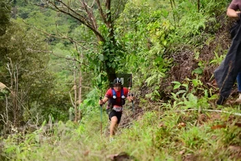 Runner Photo 103039