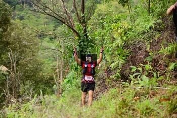 Runner Photo 103043