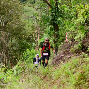 Runner Photo 103047