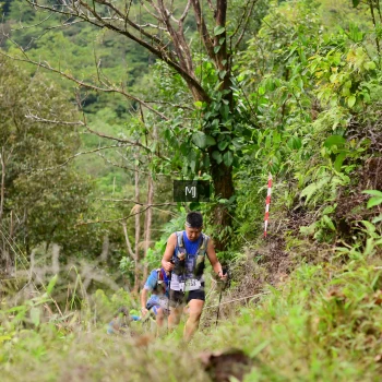 Runner Photo 103078