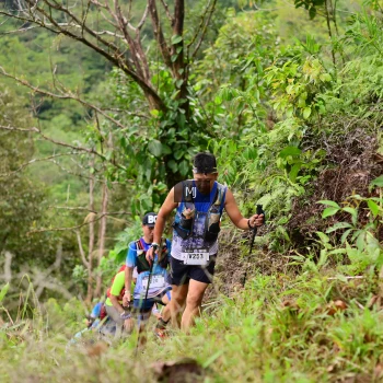 Runner Photo 103082