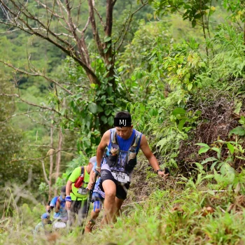 Runner Photo 103084