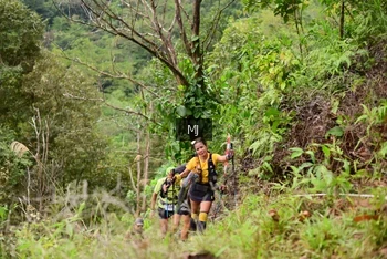 Runner Photo 103138
