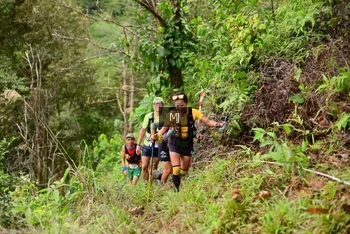 Runner Photo 103141
