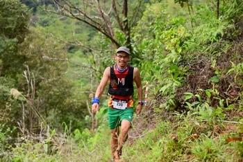 Runner Photo 103158