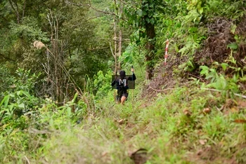 Runner Photo 103163