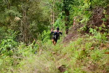 Runner Photo 103164