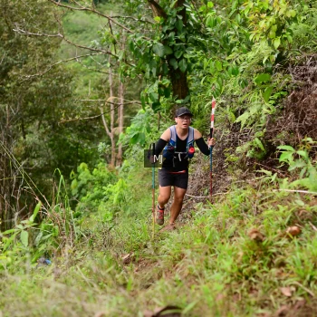 Runner Photo 103166