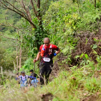Runner Photo 103359